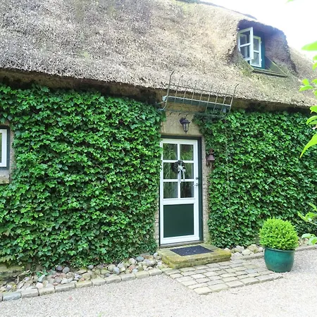 Holiday home Kleines Reethaus Johannsen - Mit Geschmackvoller Einrichtung Und Tollem Garten *